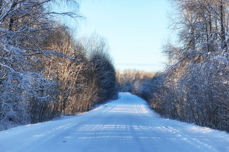 winter road landscape sunlight snowの写真素材