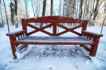 wood bench in winterの写真素材