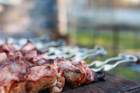 cooking barbecue on natureの写真素材