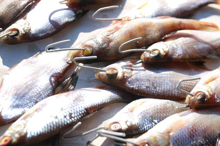 small fish on table