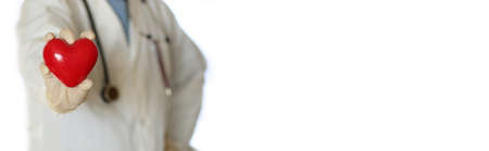 heart in doctor handの写真素材