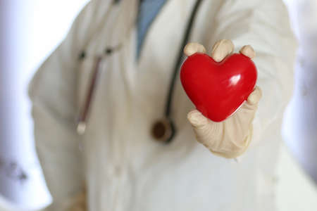 heart in doctor handの写真素材