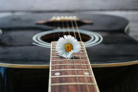 guitar string daisyの写真素材