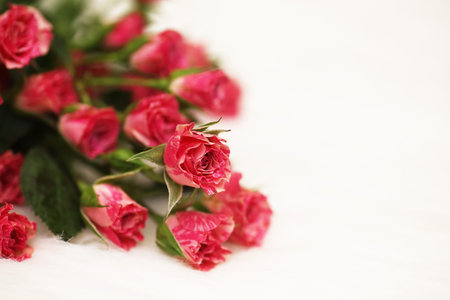 Bouquet of red roses on a white background