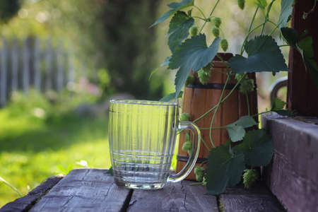 beer glass wooden hop outdoorの写真素材