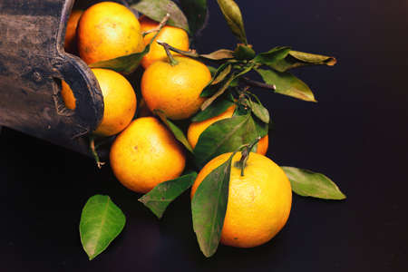 mandarin fruit isolate blackの写真素材