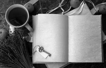 blank pages opened vintage book on the tableの写真素材