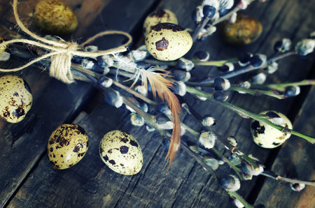egg twig willow wood background
