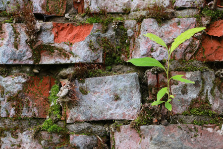 various objects of the spring season in the best of this wonderful period