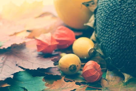 Still leaves fall pumpkin on a tableの写真素材