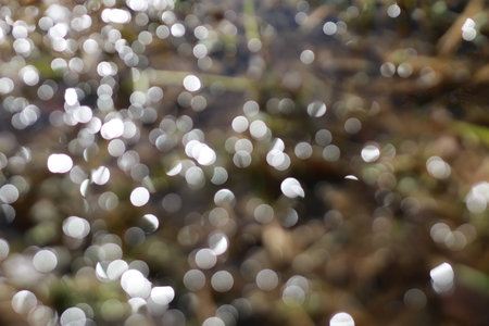 glare bokeh in water