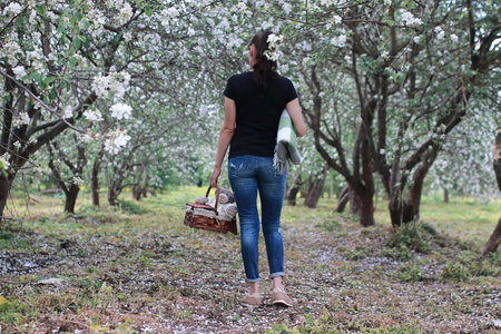 girl in a spring apple flower garden