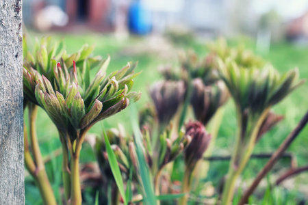 various objects of the summer season in the best of this wonderful periodの写真素材