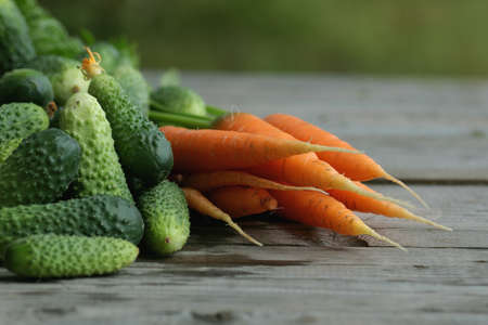 fresh crop of carrots and cucumbersの写真素材