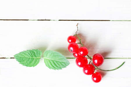 various objects of the summer season in the best of this wonderful periodの写真素材