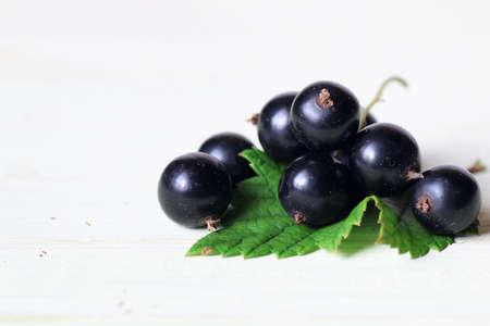 various objects of the summer season in the best of this wonderful periodの写真素材