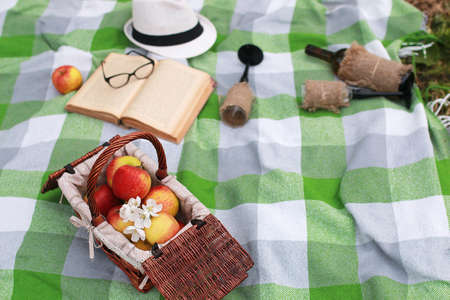 a basket with food on plaid picnic in spring parkの写真素材