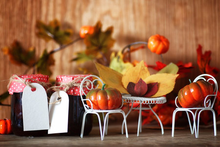 fresh pumpkin in interior wooden room on forged chairの写真素材