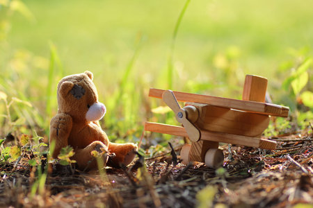 various objects of the summer season in the best of this wonderful periodの写真素材