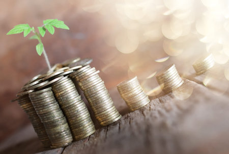 pile of copper coins on the texture old tree and the pot with a little germ of a young plantの写真素材