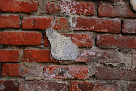 different objects of subject photography on textural backgrounds