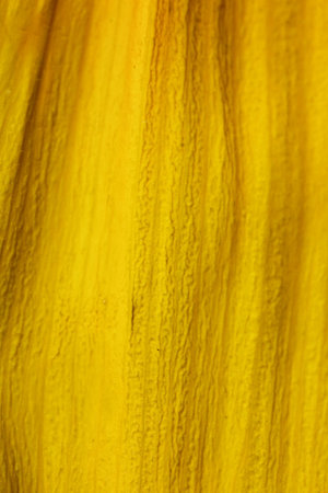 various objects of the summer season in the best of this wonderful periodの写真素材