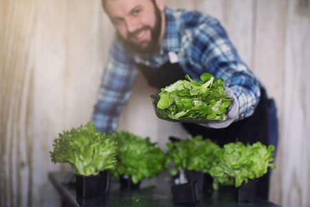 bearded man in apron and gloves holds a bowl of fresh green saladの写真素材