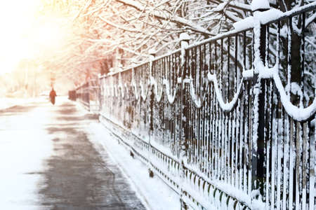 various objects of the winter season and lanscape in the best of this wonderful periodの写真素材