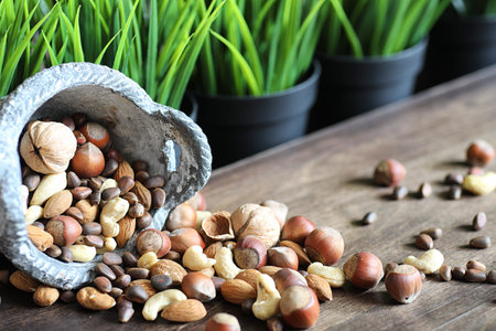 Various useful and tasty nuts on a wooden table and pots with green grassの写真素材