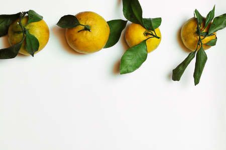 mandarin fruit isolate whiteの写真素材