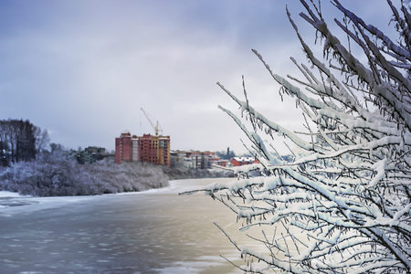 winter river in forestの写真素材