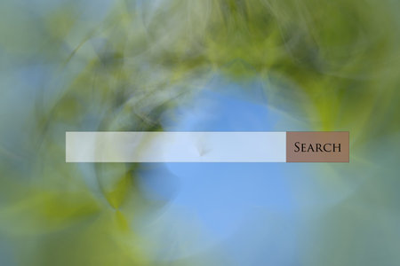 Search bar web multi colored abstract background