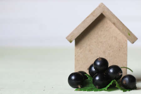 currant berry on wooden tableの写真素材