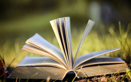 opened book in yellow autumnの写真素材