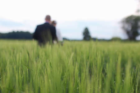 Couple lovers walking in field in summer dayの写真素材
