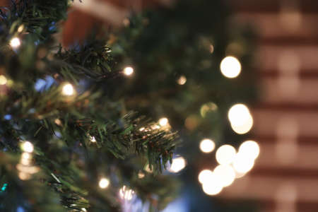 garland lights on a fir tree branch blured backgroundの写真素材