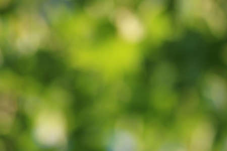 background green abstractの写真素材