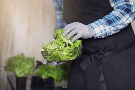 bearded man in apron and gloves holds a bowl of fresh green saladの写真素材