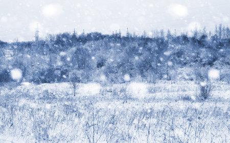 Landscape in the winter dayの写真素材