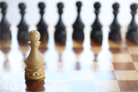 The concept of the chess game