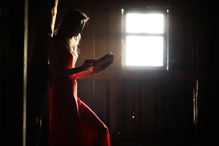 Silhouette of a beautiful girl in a red dress