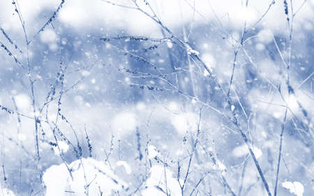 Landscape in the winter dayの写真素材