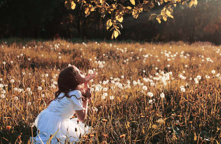 Girl blowing seeds from a flower dandelion in the autumnの写真素材