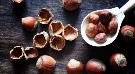 Nuts on a wooden table. Hazelnuts in the shells and shelled. A wooden spoon and nuts on brown table.の写真素材