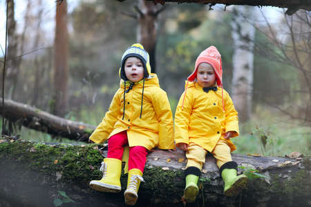 Two cute children in yellow coats sitting on a tree in the autumn parkの写真素材