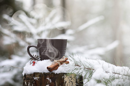A cup with a hot drink in the winter forest. Hot cocoa with cinnamonの写真素材