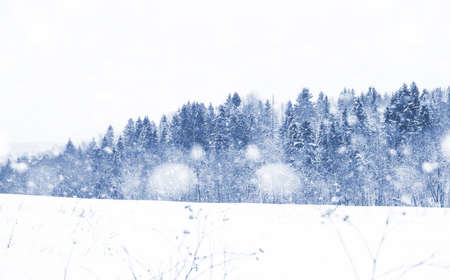 Landscape in the winter dayの写真素材