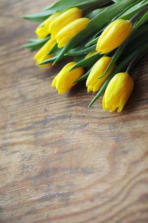A bouquet of yellow tulips in a vase on the floor.の写真素材