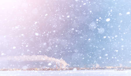 Winter landscape snow covered expanses. A park in the winter inの写真素材