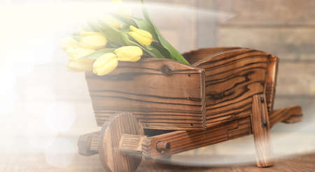 bouquet of yellow tulips in a vase on the floorの写真素材